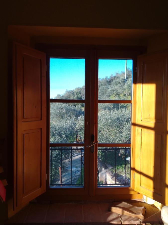 L'Ulivoimperfetto Buti Exterior foto